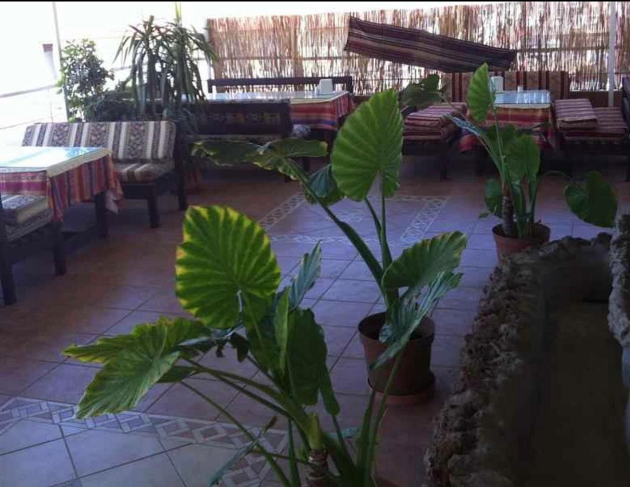 Denizhan Hotel Antalya Bagian luar foto